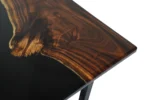 Dark black zebra - Image 7